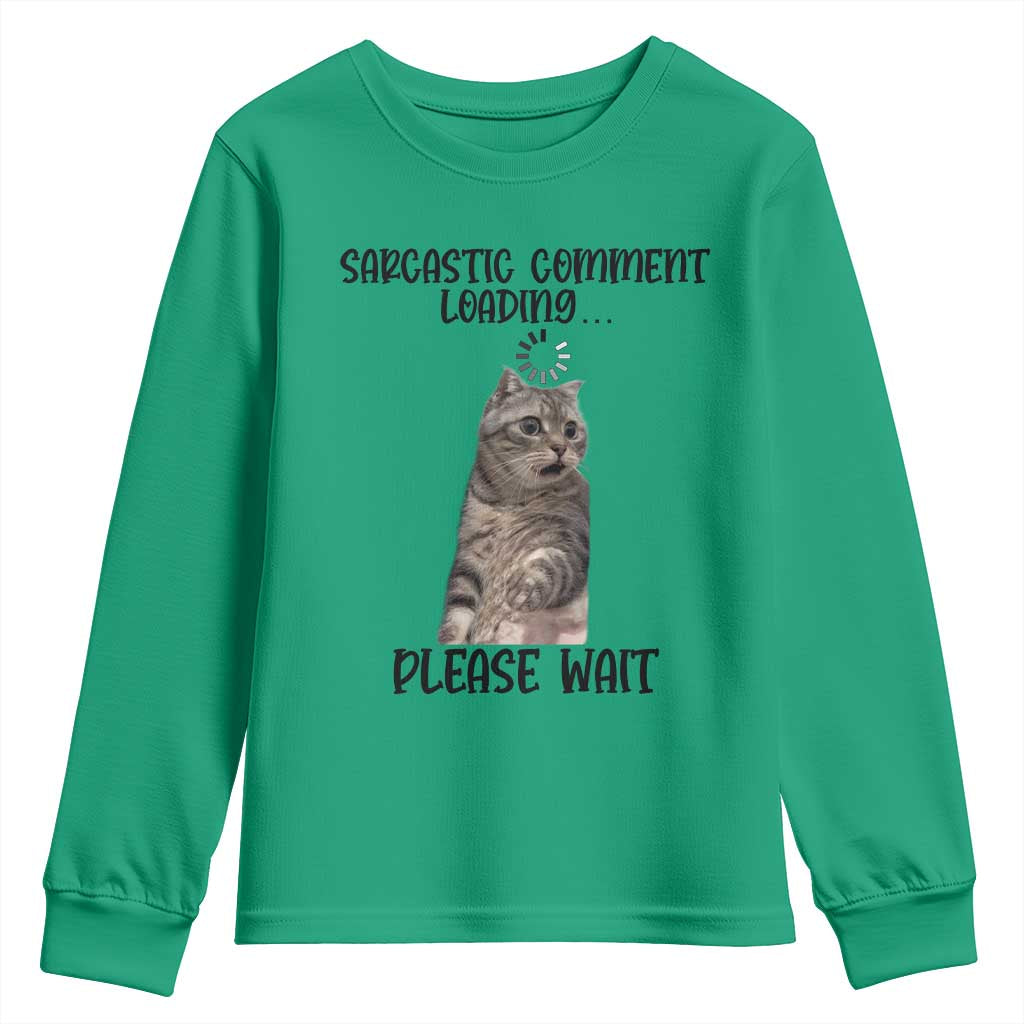Funny Cat Meme Sarcastic Youth Sweatshirt Sarcastic Comment Loading TS12 Irish Green Print Your Wear