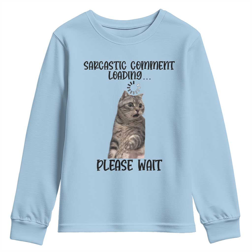 Funny Cat Meme Sarcastic Youth Sweatshirt Sarcastic Comment Loading TS12 Light Blue Print Your Wear