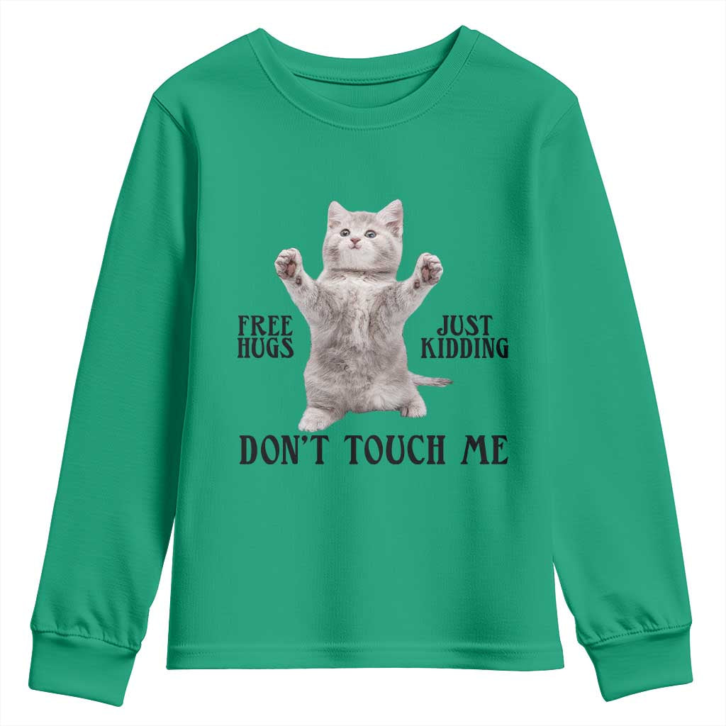 Free Hugs Do Not Touch Me Youth Sweatshirt Funny Cat Meme TS12 Irish Green Print Your Wear