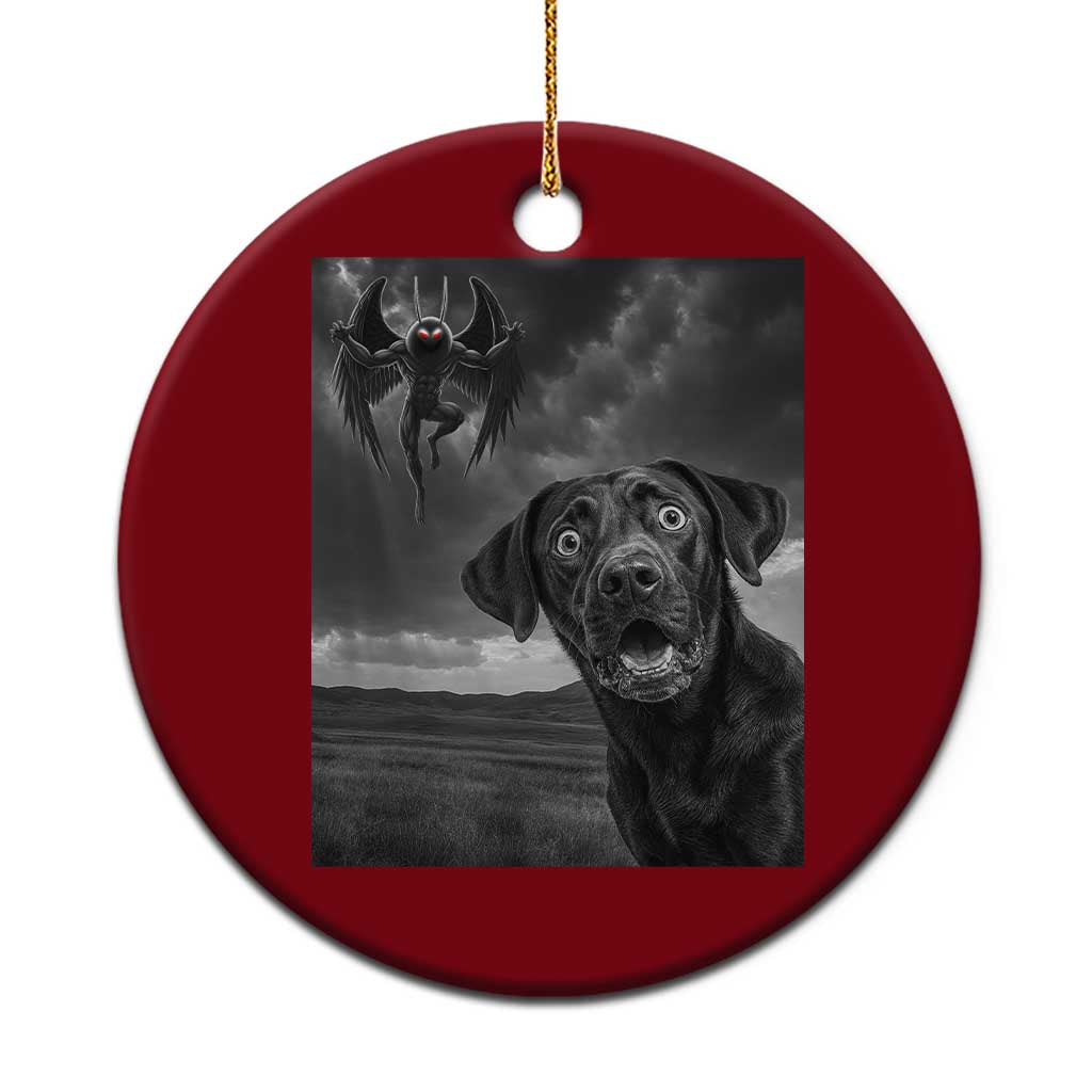 Funny Labrador Selfie With Mothman Ceramic Ornament Cryptid Gift TS12 1pc Red Print Your Wear