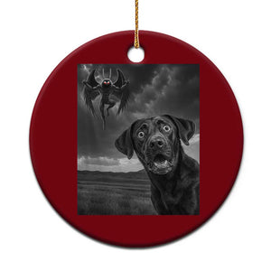 Funny Labrador Selfie With Mothman Ceramic Ornament Cryptid Gift TS12 1pc Red Print Your Wear