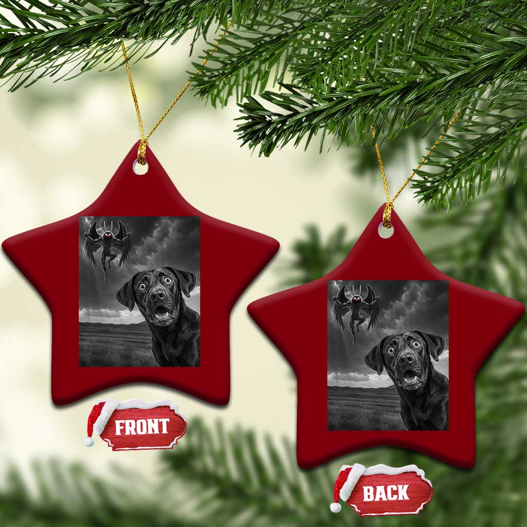 Funny Labrador Selfie With Mothman Ceramic Ornament Cryptid Gift TS12 Print Your Wear