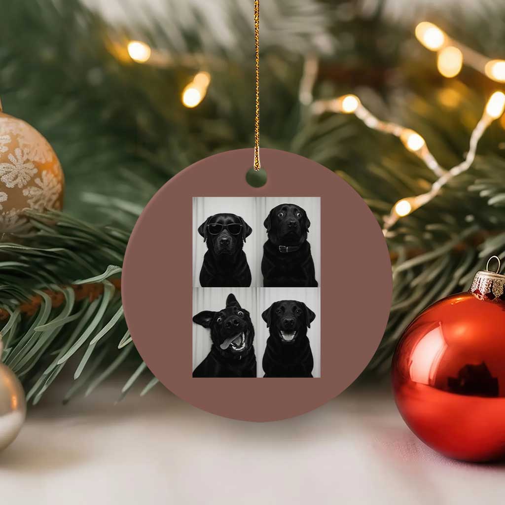 Funny Black Lab Ceramic Ornament Photobooth Selfie Dog Mom Gift TS12 1pc Mocha Print Your Wear