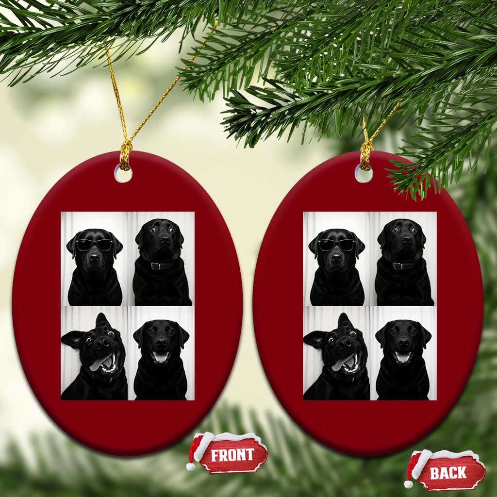 Funny Black Lab Ceramic Ornament Photobooth Selfie Dog Mom Gift TS12 Print Your Wear