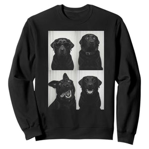 Funny Black Lab Sweatshirt Photobooth Selfie Dog Mom Gift TS12 Black Print Your Wear