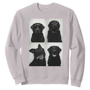 Funny Black Lab Sweatshirt Photobooth Selfie Dog Mom Gift TS12 Ice Gray Print Your Wear