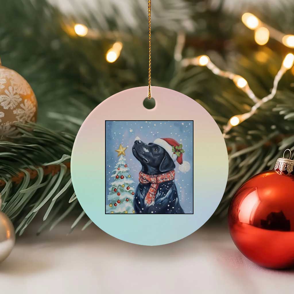Cute Black Lab Xmas Ceramic Ornament Holiday Dog Lover Gift Idea TS12 1pc Pastel Print Your Wear