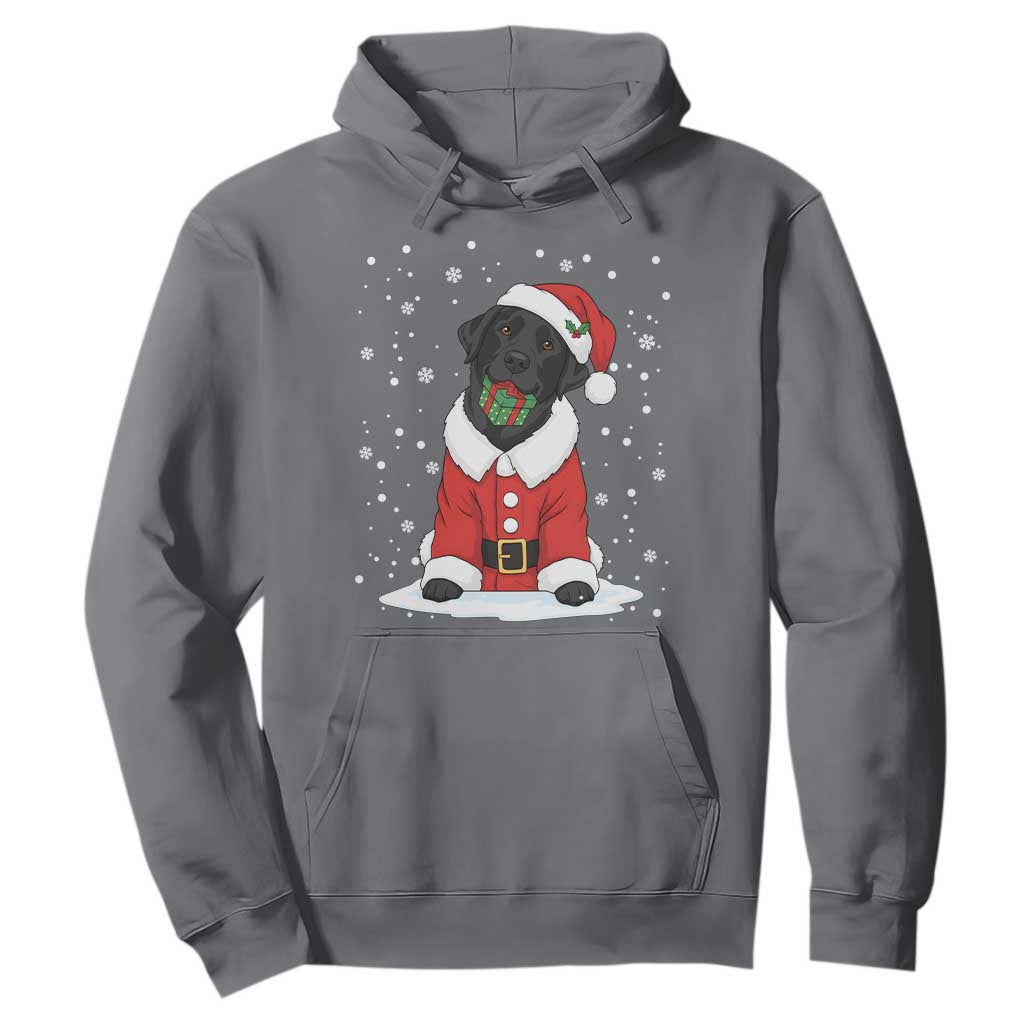 Black Labrador Santa Hoodie Funny Christmas Dog Lover Gift TS12 Charcoal Print Your Wear