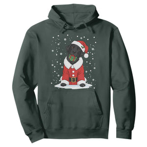 Black Labrador Santa Hoodie Funny Christmas Dog Lover Gift TS12 Dark Forest Green Print Your Wear