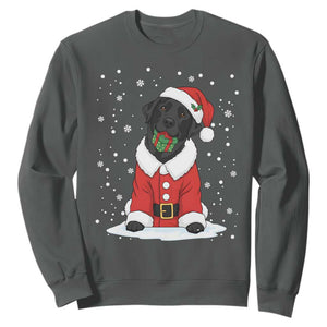 Black Labrador Santa Sweatshirt Funny Christmas Dog Lover Gift TS12 Dark Heather Print Your Wear