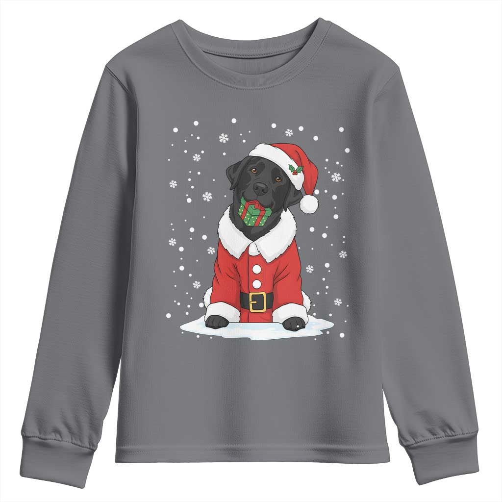 Black Labrador Santa Youth Sweatshirt Funny Christmas Dog Lover Gift TS12 Charcoal Print Your Wear