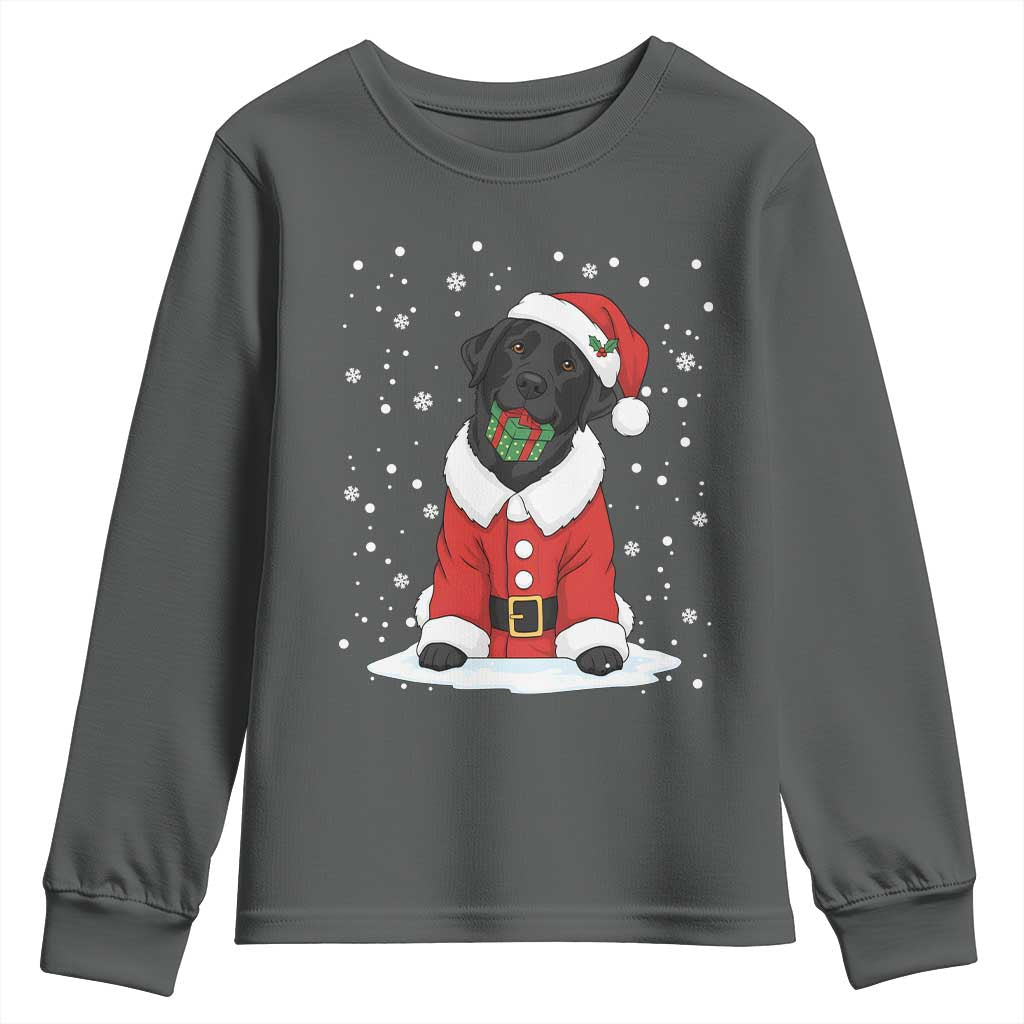 Black Labrador Santa Youth Sweatshirt Funny Christmas Dog Lover Gift TS12 Dark Heather Print Your Wear
