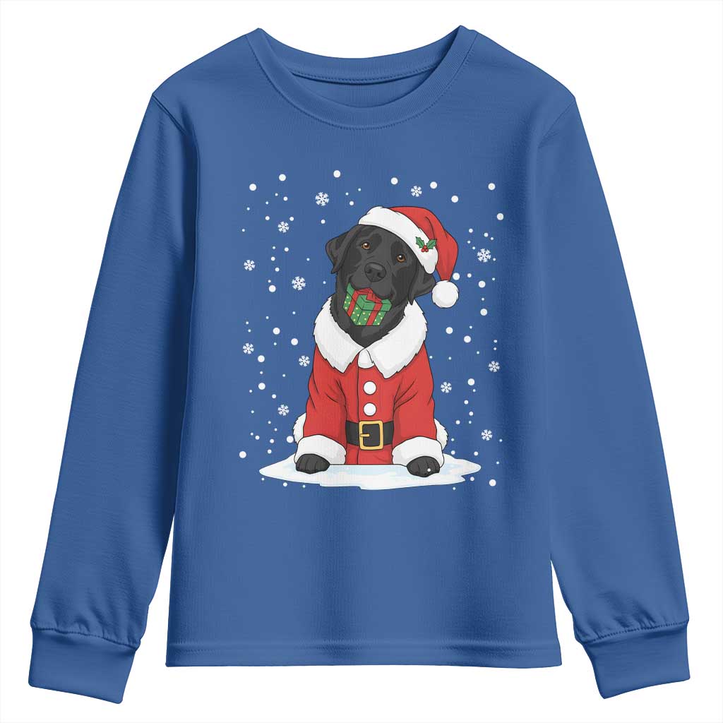 Black Labrador Santa Youth Sweatshirt Funny Christmas Dog Lover Gift TS12 Royal Blue Print Your Wear