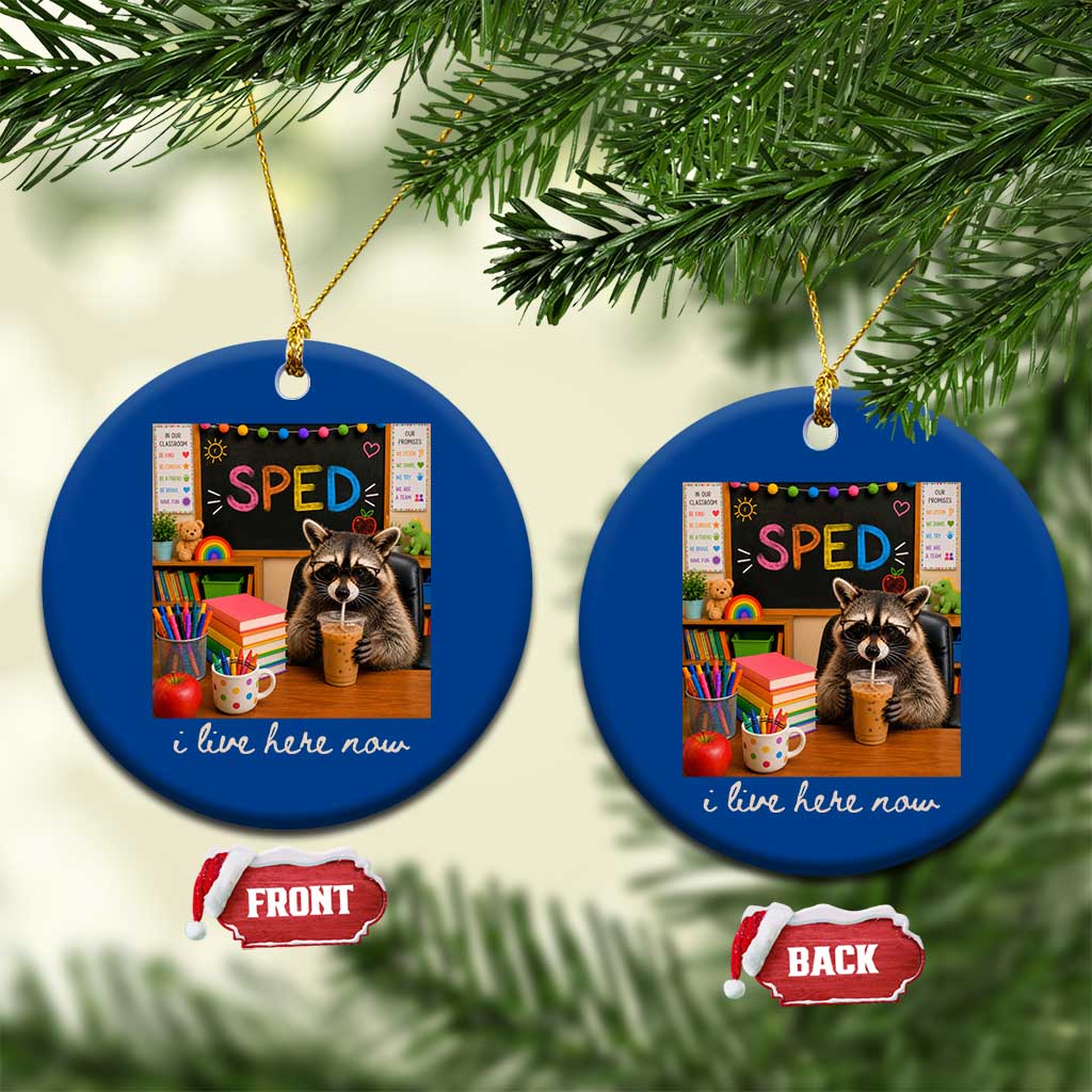 Funny SPED Raccoon Teacher Ceramic Ornament I Live Here Now