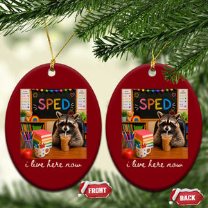 Funny SPED Raccoon Teacher Ceramic Ornament I Live Here Now