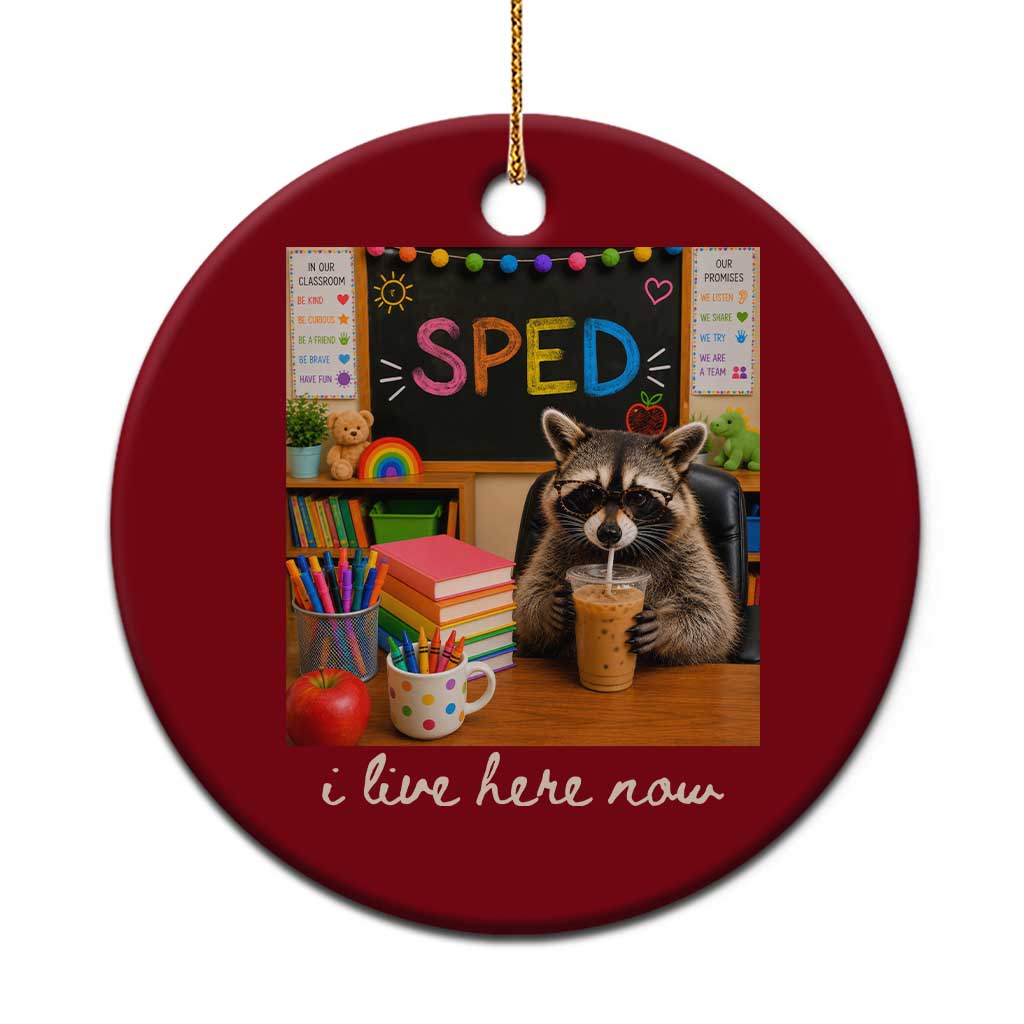 Funny SPED Raccoon Teacher Ceramic Ornament I Live Here Now TS12 1pc Red Print Your Wear