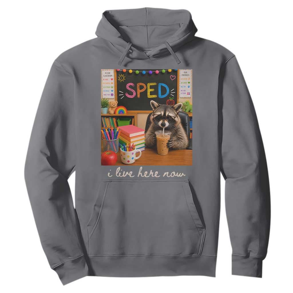 Funny SPED Raccoon Teacher Hoodie I Live Here Now