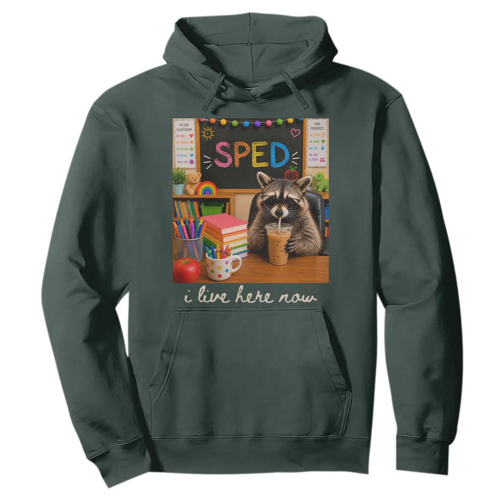 Funny SPED Raccoon Teacher Hoodie I Live Here Now