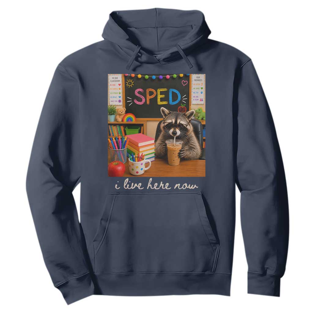 Funny SPED Raccoon Teacher Hoodie I Live Here Now