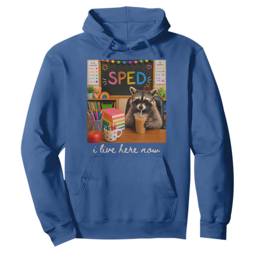 Funny SPED Raccoon Teacher Hoodie I Live Here Now