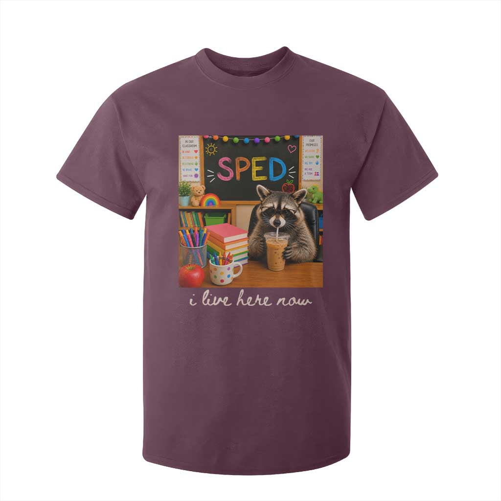 Funny SPED Raccoon Teacher T Shirt For Kid I Live Here Now