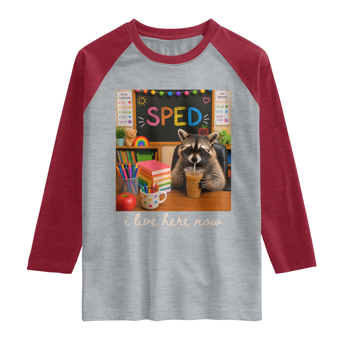 Funny SPED Raccoon Teacher Raglan Shirt I Live Here Now