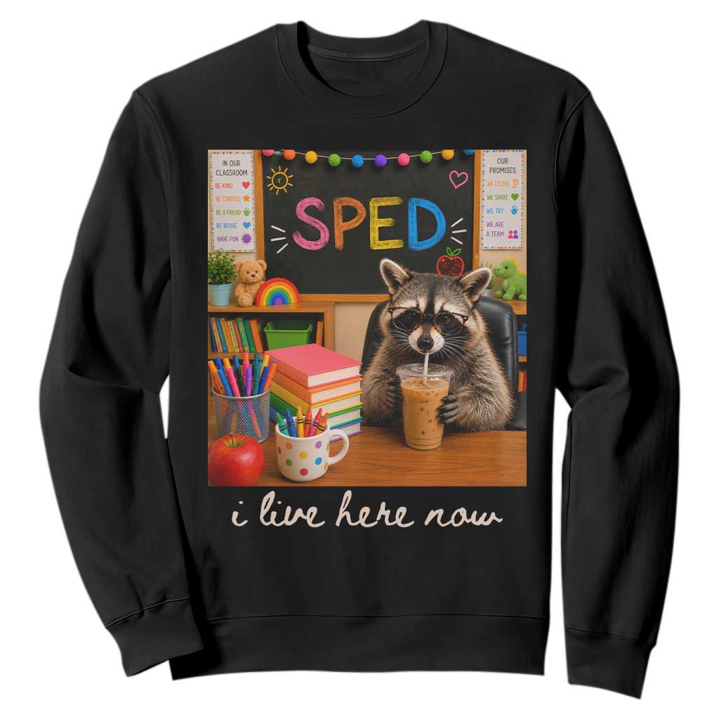Funny SPED Raccoon Teacher Sweatshirt I Live Here Now