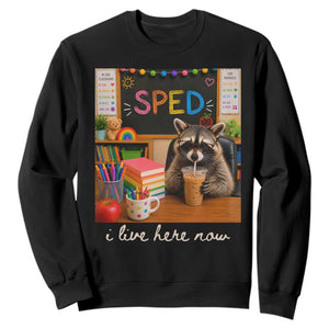 Funny SPED Raccoon Teacher Sweatshirt I Live Here Now