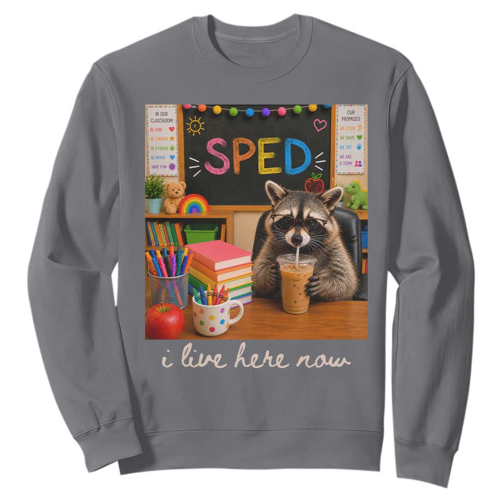 Funny SPED Raccoon Teacher Sweatshirt I Live Here Now