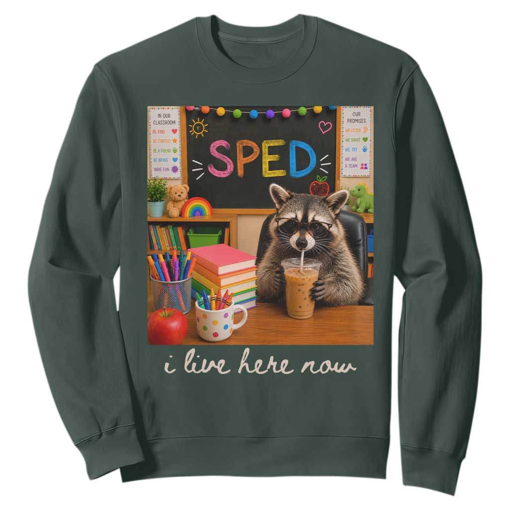 Funny SPED Raccoon Teacher Sweatshirt I Live Here Now