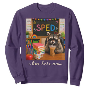 Funny SPED Raccoon Teacher Sweatshirt I Live Here Now