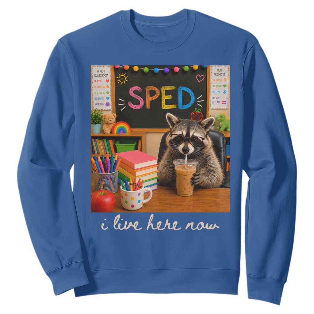 Funny SPED Raccoon Teacher Sweatshirt I Live Here Now
