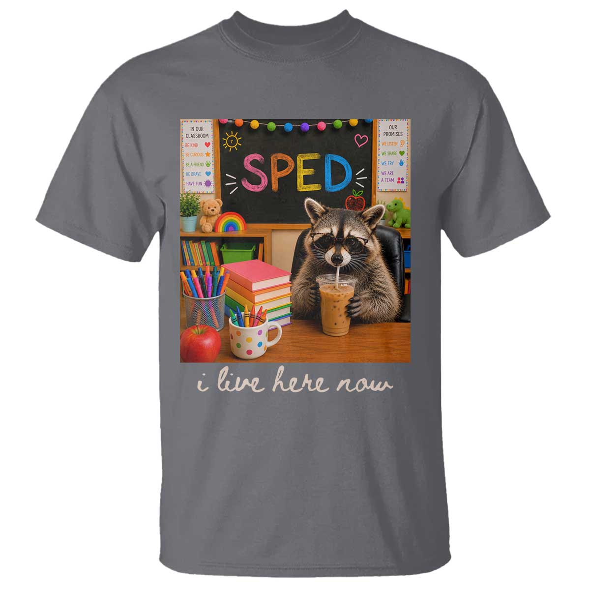 Funny SPED Raccoon Teacher T Shirt I Live Here Now