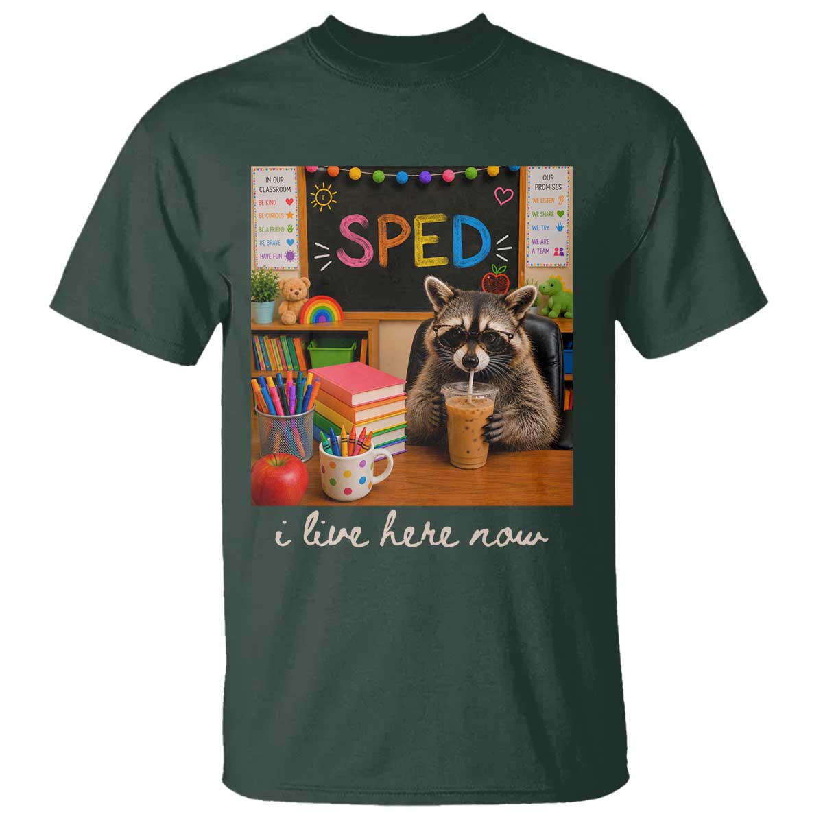 Funny SPED Raccoon Teacher T Shirt I Live Here Now