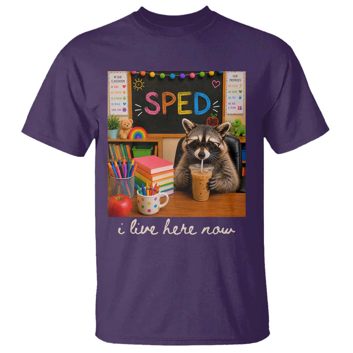 Funny SPED Raccoon Teacher T Shirt I Live Here Now