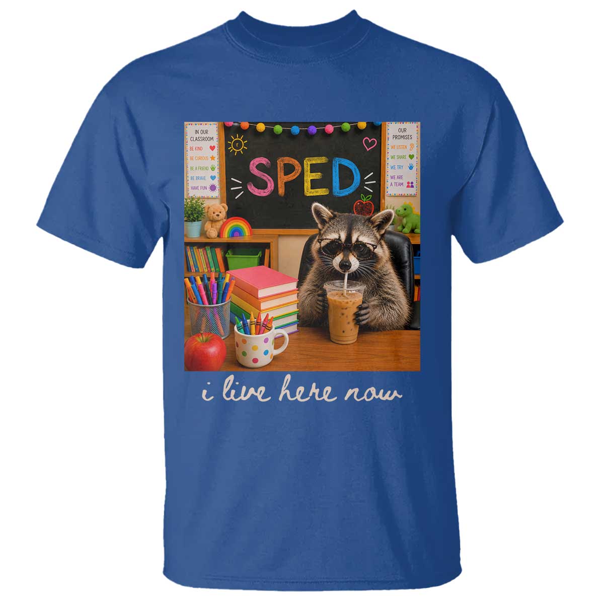 Funny SPED Raccoon Teacher T Shirt I Live Here Now