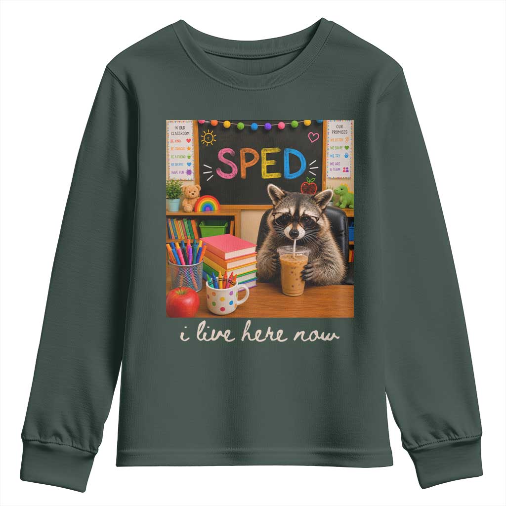 Funny SPED Raccoon Teacher Youth Sweatshirt I Live Here Now