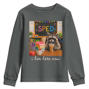 Funny SPED Raccoon Teacher Youth Sweatshirt I Live Here Now