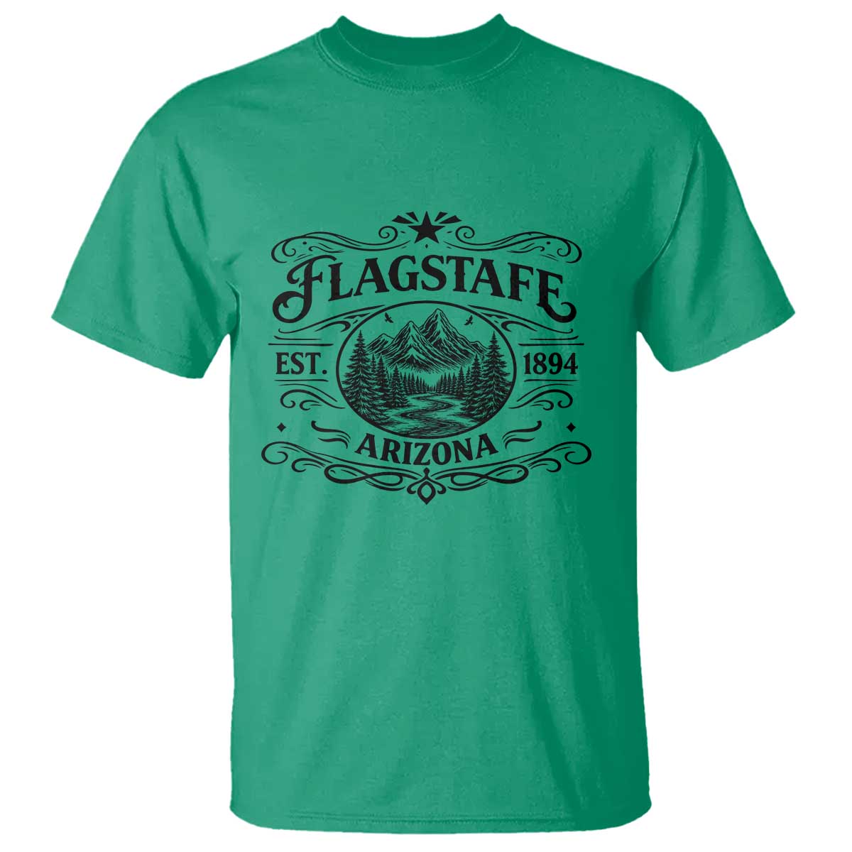 Vintage Flagstaff Landscape Adventure T Shirt Arizona Gift TS12 Irish Green Print Your Wear