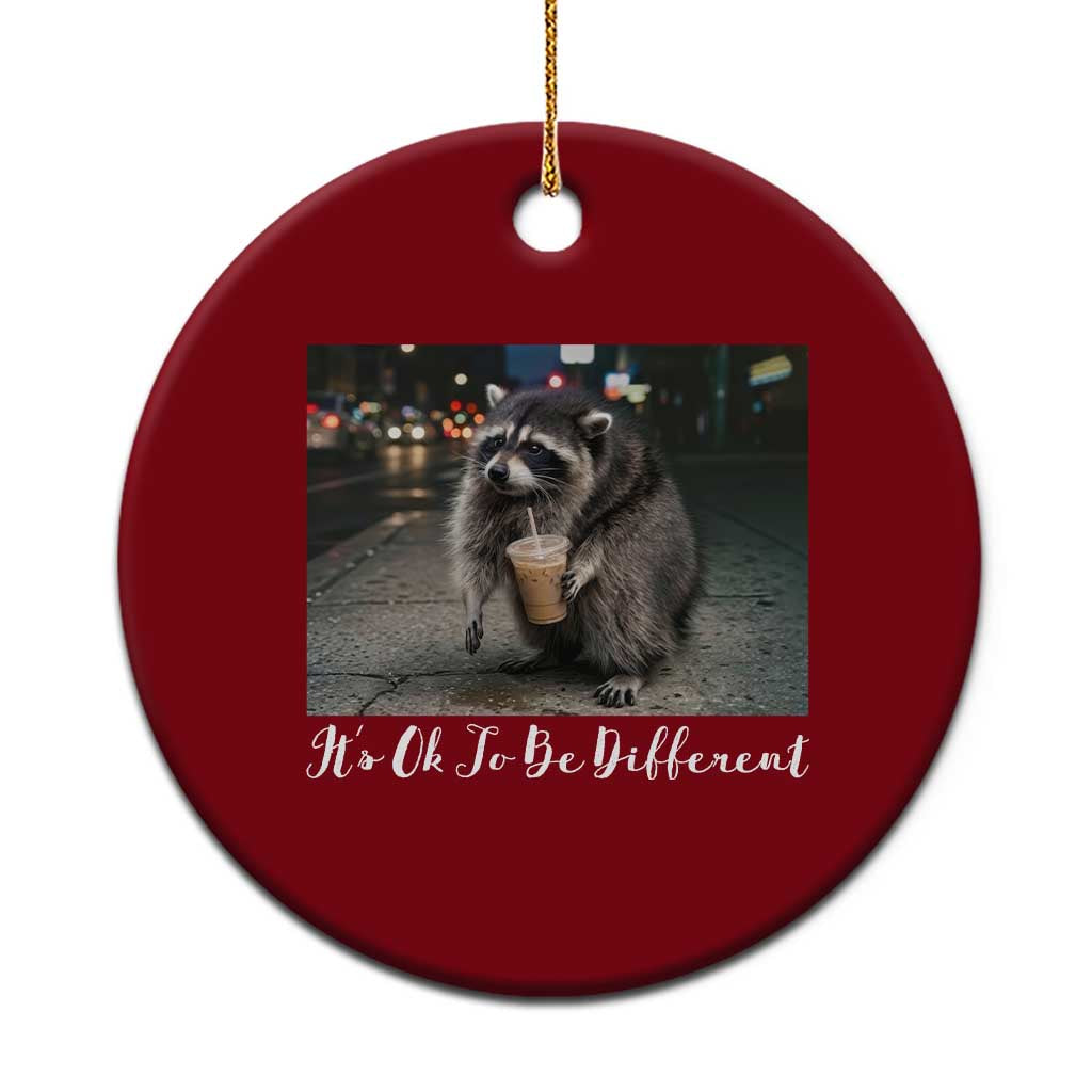 Its Ok To Be Different Jimothy Raccoon Ceramic Ornament Funny Short Spine Wildlife TS12 1pc Red Print Your Wear
