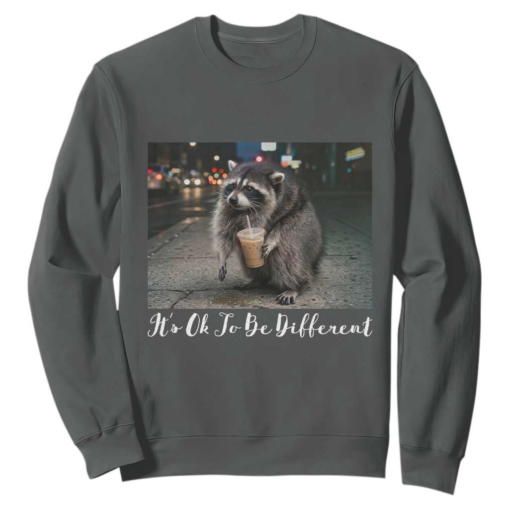 Its Ok To Be Different Jimothy Raccoon Sweatshirt Funny Short Spine Wildlife