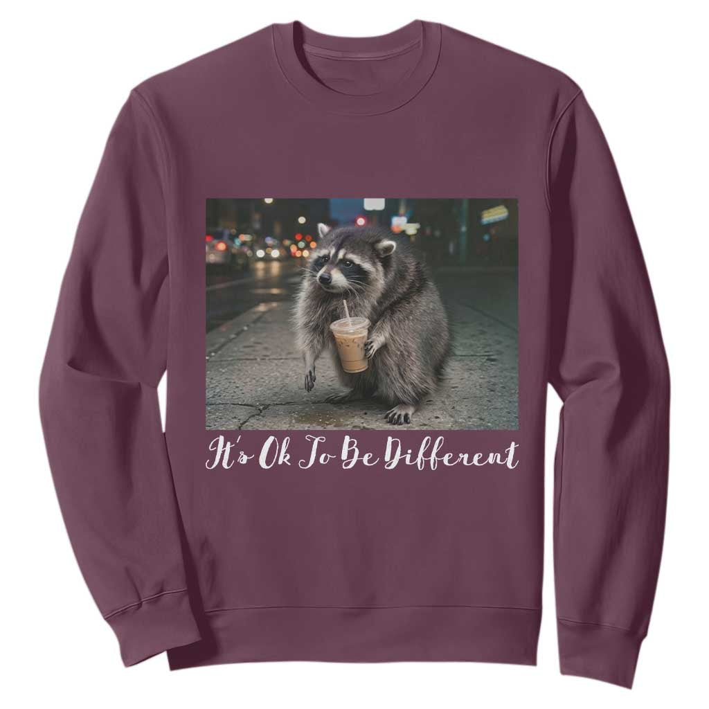 Its Ok To Be Different Jimothy Raccoon Sweatshirt Funny Short Spine Wildlife