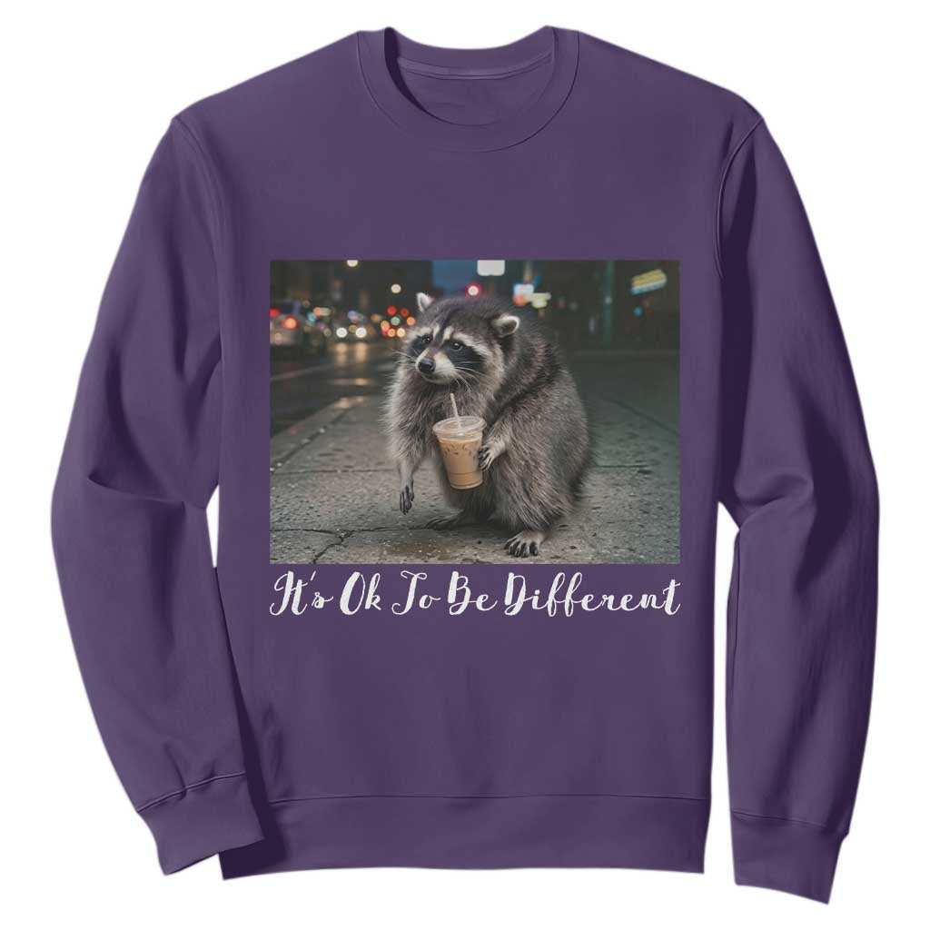 Its Ok To Be Different Jimothy Raccoon Sweatshirt Funny Short Spine Wildlife