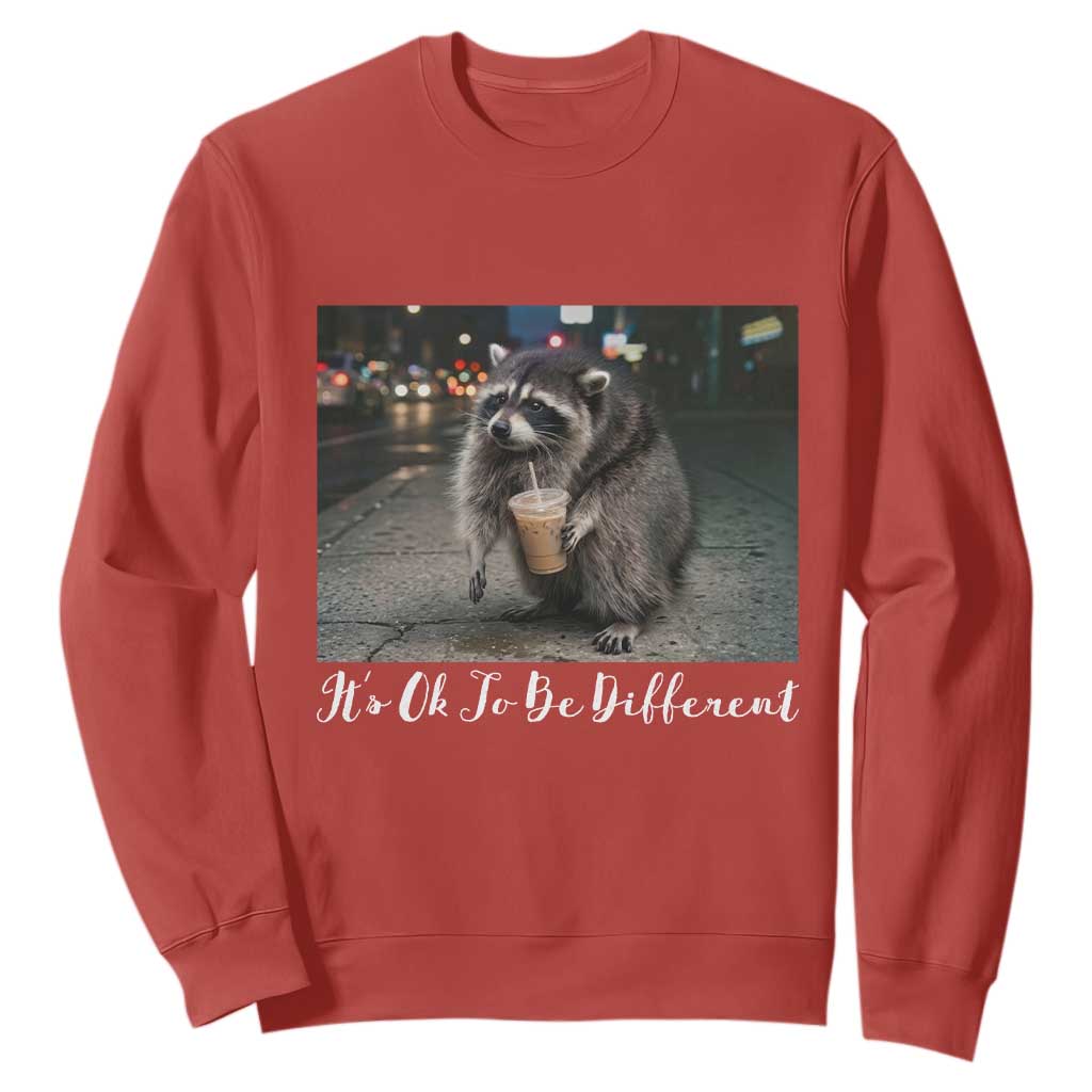 Its Ok To Be Different Jimothy Raccoon Sweatshirt Funny Short Spine Wildlife