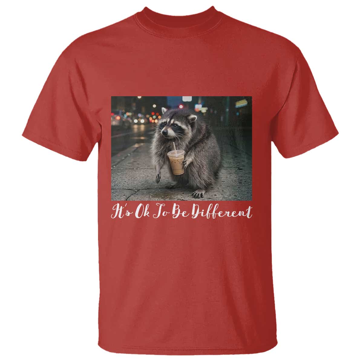 Its Ok To Be Different Jimothy Raccoon T Shirt Funny Short Spine Wildlife