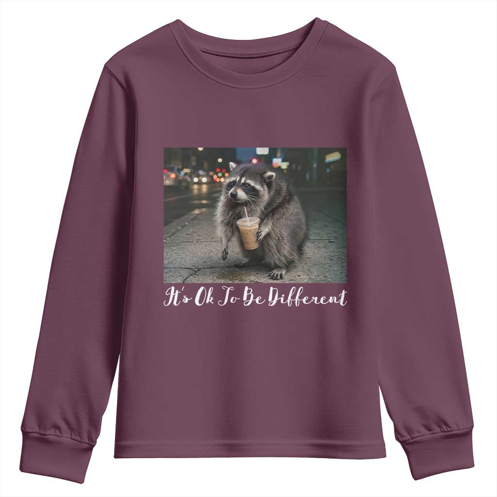 Its Ok To Be Different Jimothy Raccoon Youth Sweatshirt Funny Short Spine Wildlife