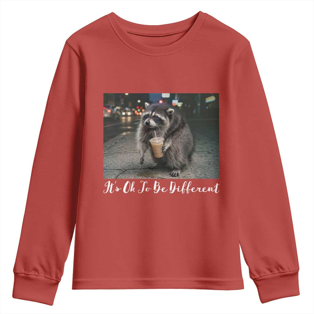 Its Ok To Be Different Jimothy Raccoon Youth Sweatshirt Funny Short Spine Wildlife