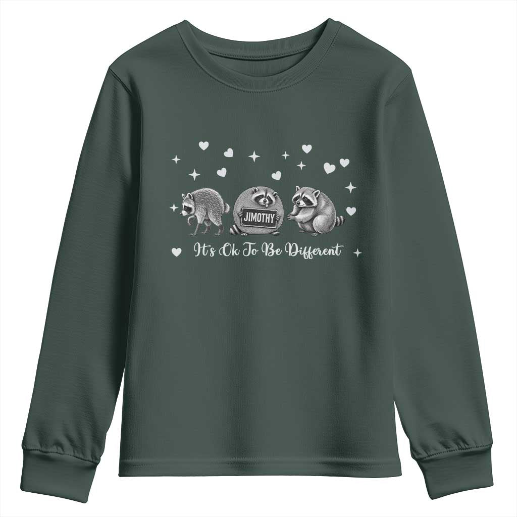 Its Ok To Be Different Jimothy Raccoon Youth Sweatshirt Cute Trash Panda Viral Animal Lover Gift