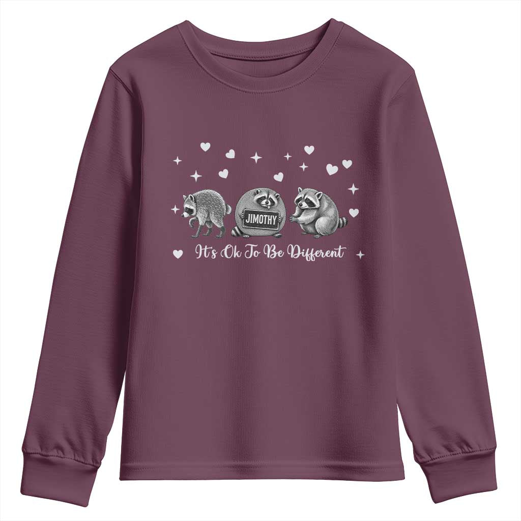 Its Ok To Be Different Jimothy Raccoon Youth Sweatshirt Cute Trash Panda Viral Animal Lover Gift