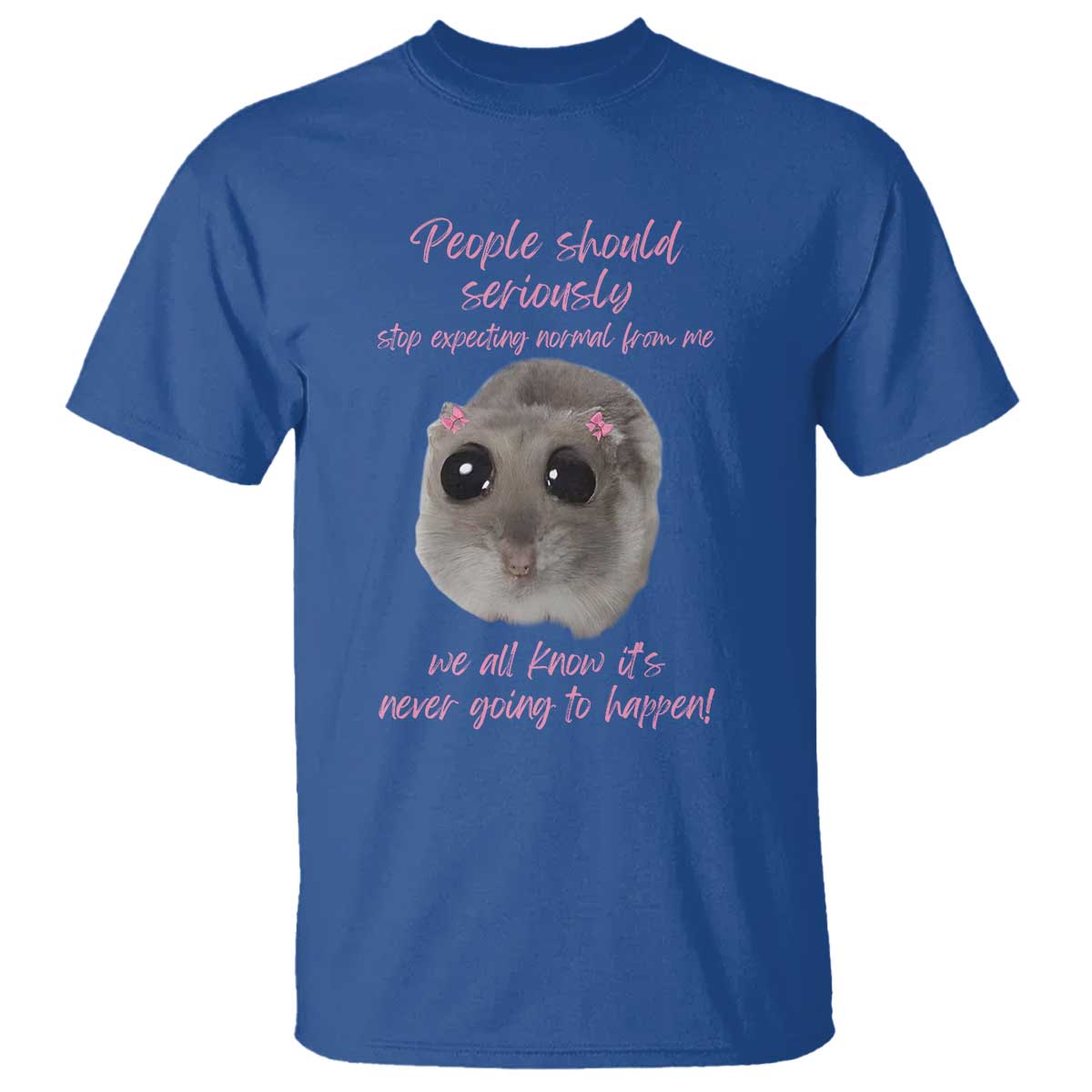 Funny Hamster Meme T Shirt People Should Stop Expecting Normal Humor Gift TS12 Royal Blue Print Your Wear